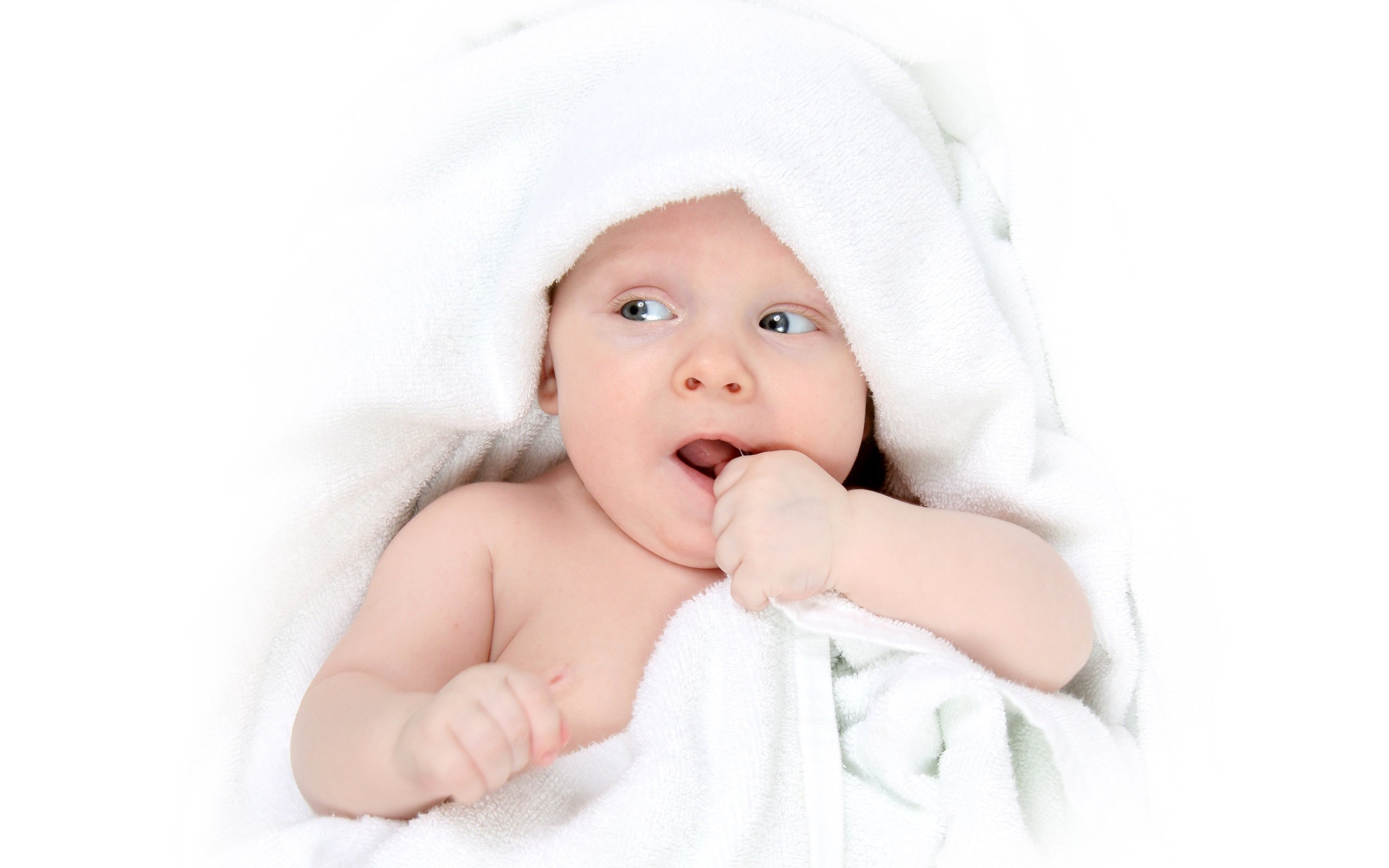 供卵联系方式试管婴儿冷冻胚胎成功率